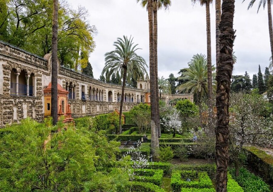 The Best of Seville: Private 2,5 Hour Walking Tour - Guides that make the difference: strong teaching, warm personality