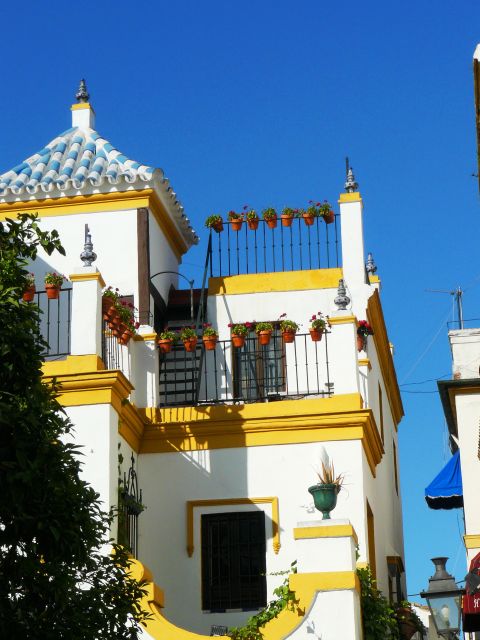 The Cultures of Seville Walking Tour - Plaza de la Alfalfa and Fabiola Street: when history feels current