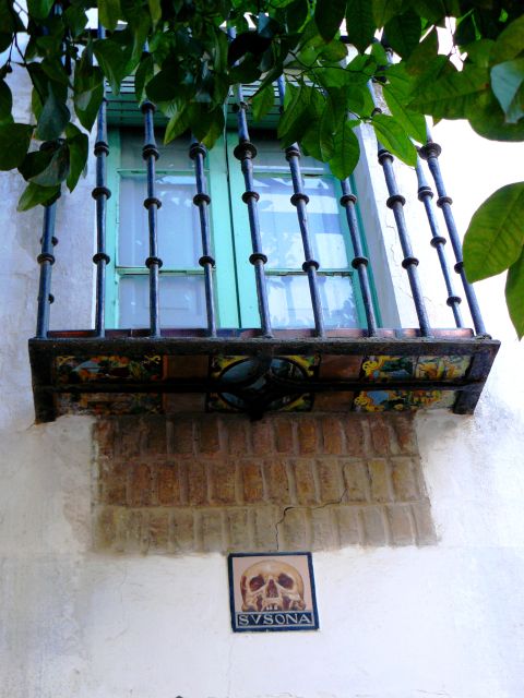 The Cultures of Seville Walking Tour - Practical walking tips for a smooth 10,000+ step day