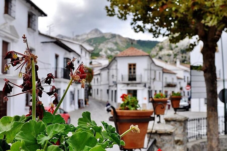 The Villages of Andalusia: Full-Day Trip from Seville - Guides Like Carlos and Abby: Why the Human Part Changes Everything