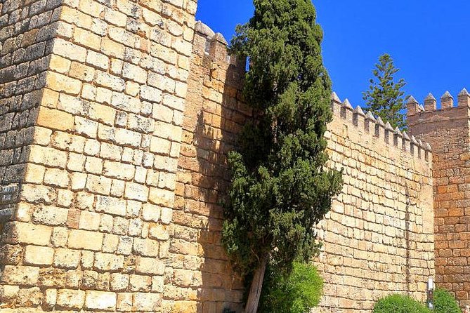 Tour Seville Complete and Jewish Quarter Santa Cruz - Indies Archive and Torre Abdel Aziz: when photos turn into clues