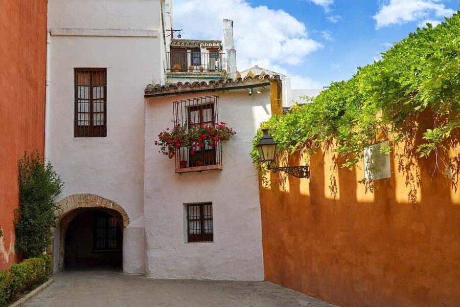 Unforgettable Seville: Tour of Seville and the Jewish Quarter + Flamenco Show - Alcázar Patio de Banderas: the view and the porticoes