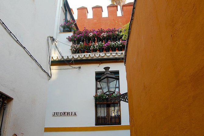 Unmissable Seville private tour - Key Highlights You’ll Actually Notice