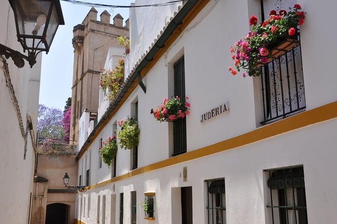 Walking tour through the old Jewish quarter of Santa Cruz. - Price and value: paying $17.36 for guiding, not entry fees