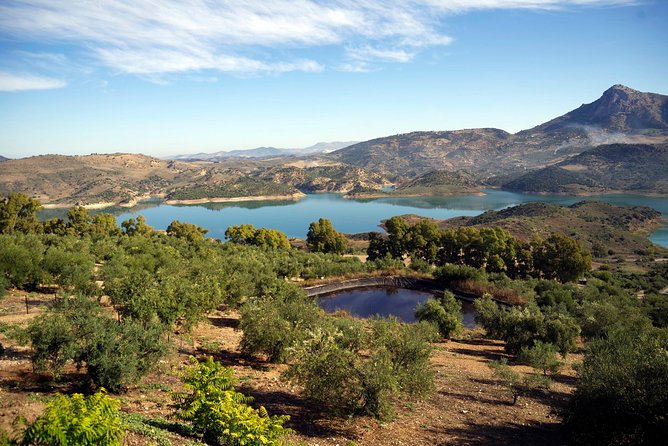 White Villages and Ronda Day Tour from Seville - Key highlights and real-world takeaways