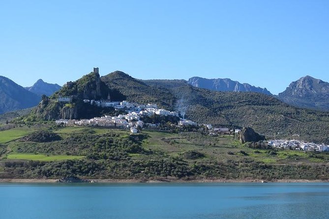 White Villages and Ronda Day Tour from Seville - Driving through Andalucía: sunflower fields, border castles, and cork forests