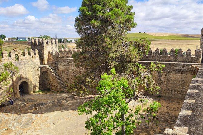 White Villages and Ronda Day Tour from Seville - Price value: is $95.53 a fair deal?