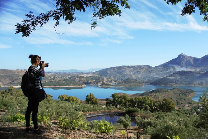 White Villages and Ronda Day Tour from Seville - Zahara de la Sierra: the white village viewpoint break you’ll remember