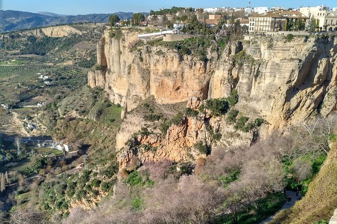 White Villages and Ronda Guided Day Tour from Seville - Grazalema: mountain views plus an olive-oil story