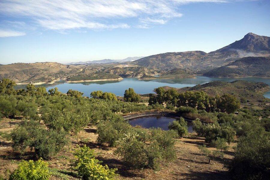 White Villages & Ronda 2-Days Trip & Overnight Stay - Should You Book This White Villages & Ronda Trip?