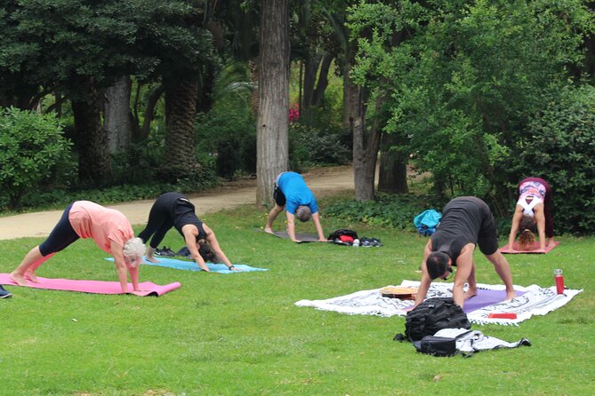 Yoga at María Luisa Park in Seville - Poses for Every Level: How Dynamic Doesn’t Mean Dangerous