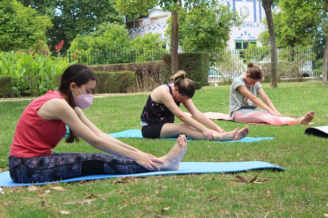 Yoga at María Luisa Park in Seville - Balance and Corrections: What You Gain From a Teacher Like Jesús