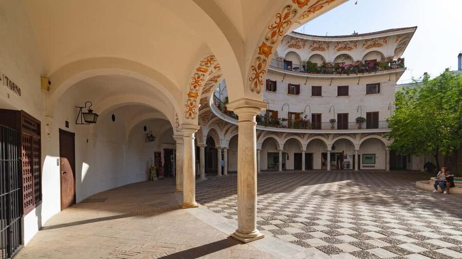 Young Seville: Tour for curious explorers - Seville Cathedral and the Giralda: big views, fast context