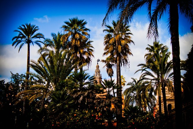 “Your First Day in Seville, the Local Way” - Bike along the Guadalquivir River: scenic momentum without the full uphill day